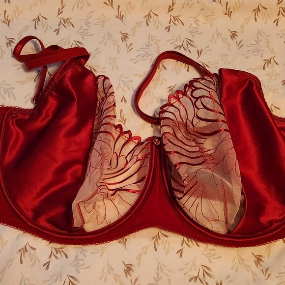 38K Scantilly Fallen Angel Bra - Picture 2 of 3